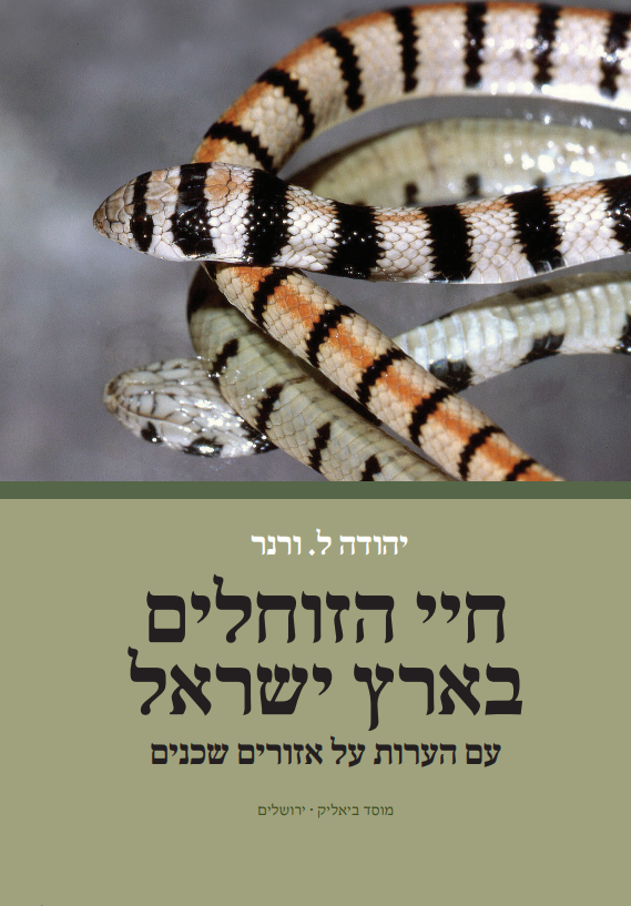 Reptile Life in the Land of Israel 