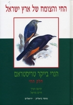 THE SURVEY OF WESTERN PALESTINE